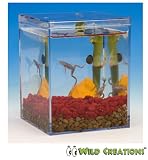 Wild Creations - Classic with Frogs