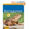 Bartagamen (GU TierRatgeber)