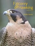 Falconry & Hawking
