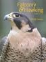 Falconry & Hawking