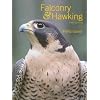 Falconry & Hawking