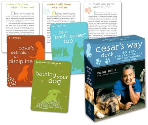 City Travel Guides Discounted  Books : Cesar's Way Deck: 50 Tips for Training and Understanding Your Dog by Cesar Millan (Paperback - 2008)