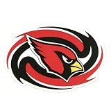 Arizona Cardinals Car Magnet (11.5"x8")
