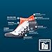 Thirty 48 Running Socks for Men and Women -CoolMax Fabric Keeps Feet Cool and Dry Gray/Gray Large