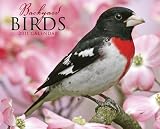 Backyard Birds 2011 Calendar