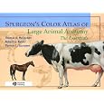Spurgeon's Color Atlas of Large Animal Anatomy: The Essentials