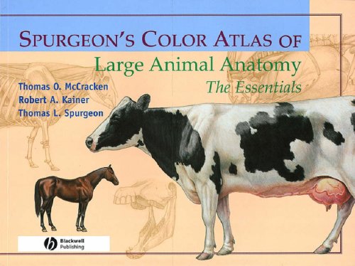Spurgeon's Color Atlas of Large Animal Anatomy: The Essentials
