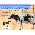 Spurgeon's Color Atlas of Large Animal Anatomy: The Essentials by  Thomas O. McCracken, Robert A. Kainer, and Thomas L. Spurgeon