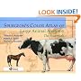 Spurgeon's Color Atlas of Large Animal Anatomy: The Essentials