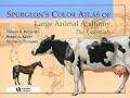 Spurgeon's Color Atlas of Large Animal Anatomy: The Essentials