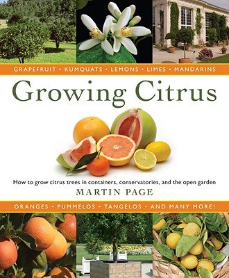 Growing Citrus: The Essential Gardener's Guide   [GROWING CITRUS] [Hardcover], by Martin Page