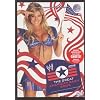 WWE - Great American Bash 2005