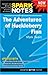 The Adventures of Huckleberry Finn (SparkNotes)