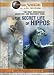 The Secret Life of Hippos