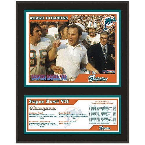 Mounted Memories Miami Dolphins 12x15 Sublimated Plaque - Super Bowl VII