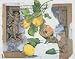 Allerlei Art Print Poster By Leonore Zimmermann, 28 