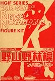 HGIFシリーズ　エア・ギア　野山野林檎　フィギュアキットイメージ