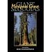 Giant Sequoias: Mariposa Grove