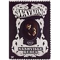 Waylon Jennings: Nashville Rebel