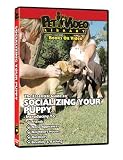 SOCIALIZING YOUR PUPPY DVD! Start your Dog on the Right Paw! Canine Fundamentals Training Video