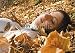 All Products : Wallmonkeys Peel and Stick Wall Decals - Beautiful Fall 3 - Removable Graphic