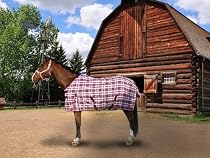 Kensington KPP Poly Day Sheet, Deluxe Black Plaid, 78
