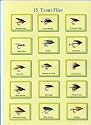 15 trout Fishing Flies on Yellow Card