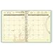 AT-A-GLANCE Weekly / Monthly Planner 2016, 8.5 x 11 Inches, Poetica (772905)