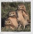 Greg Lasley's Texas Wildlife Portraits (Louise Lindsey Merrick Natural Environment Series)