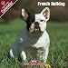French Bulldog 2009 Wall Calendar