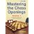 Mastering the Chess Openings: v. 2