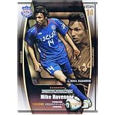 【フットボールオールスターズ】ハーフナー　マイク ヴァンフォーレ甲府 グレートプレイヤー 《FOOTBALL ALLSTAR'S vol.1》fo1101-089