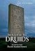 The Last of the Druids: The Mystery of the Pictish Symbol Stones
