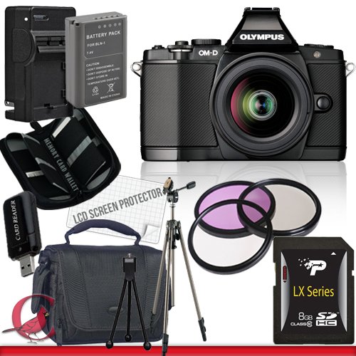 review Olympus E-M5
