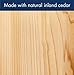 Woodlink Traditional Wren House - Natural Cedar Bird House