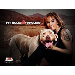 Pitbulls and Parolees Season 3