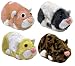 ZHU ZHU Hamster, 4-fach sortiert