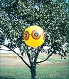 Tools & Hardware : Bird Repellent: Giant Scare Eyes - 3 pk