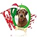 Hallmark Keepsake Ornament Doggone Good Christmas Photo Frame Holder