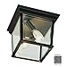 Trans Globe Lighting 4905 SWI Outdoor Ansel 6.5" Flushmount Lantern, Swedish Iron