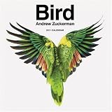 2011 Wall Calendar: Bird