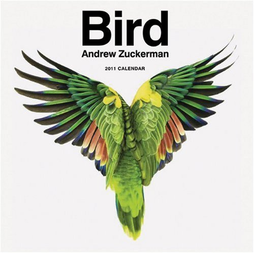 2011 Wall Calendar: Bird