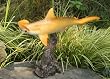 Taxidermy 20" Fiberglass Hammerhead Shark Statue