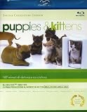 Puppies & Kittens (Special Collectors Edition)