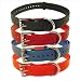 Collar Strap Red / Roller Buckle / Nickel Hardware