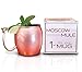 Craft Cocktails - Gift Box - Polished 16 Oz. Long Lasting Stainless Steel Lined - Copper Moscow Mule Mug