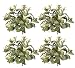 FOUR 15" Magnolia Leaf Artificial Bushes w/Berries
