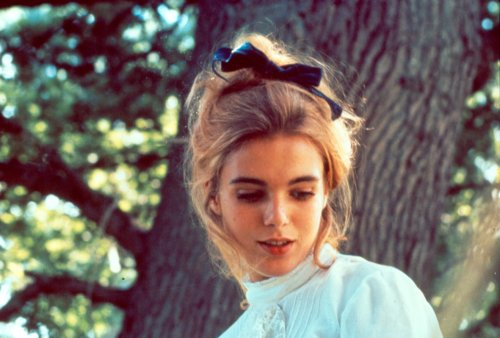 みじかくも美しく燃え