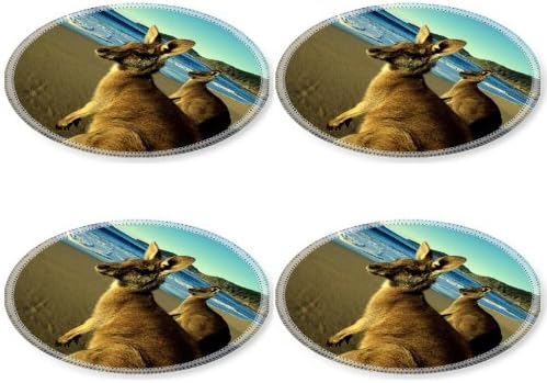 Kangaroo Jumpers Beautiful Eyes Beach Mountains Sand Water Wool Round Coaster (4 Piece) Set Fabric Rubber 5 Inch Size Liil Coaster Cup Mug Can Water Bottle Drink Coasters Stain Resistance Collector Kit Kitchen Table Top Desk