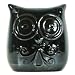 Ceramic Owl Bank - Gunmetal
